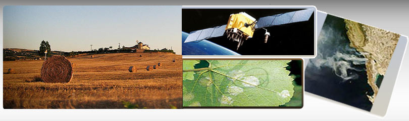 previsioni per l'agricoltura e l'ambiente